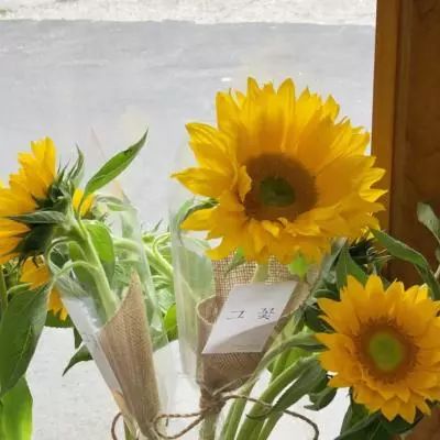 亚博AG娱乐截图